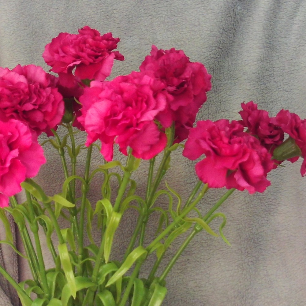 Silk Carnation Cerise Pink 60cm Artificial Flowers